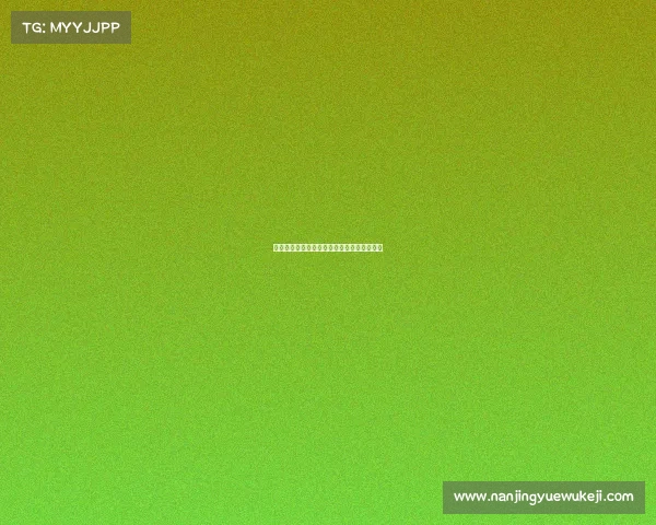 亨克队今日激战正酣，精彩赛事前瞻不容错过